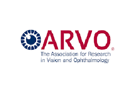 1775654778 ARVO 1 1