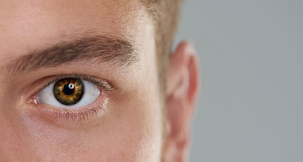 shutterstock_2136957669 shutterstock 2136957669